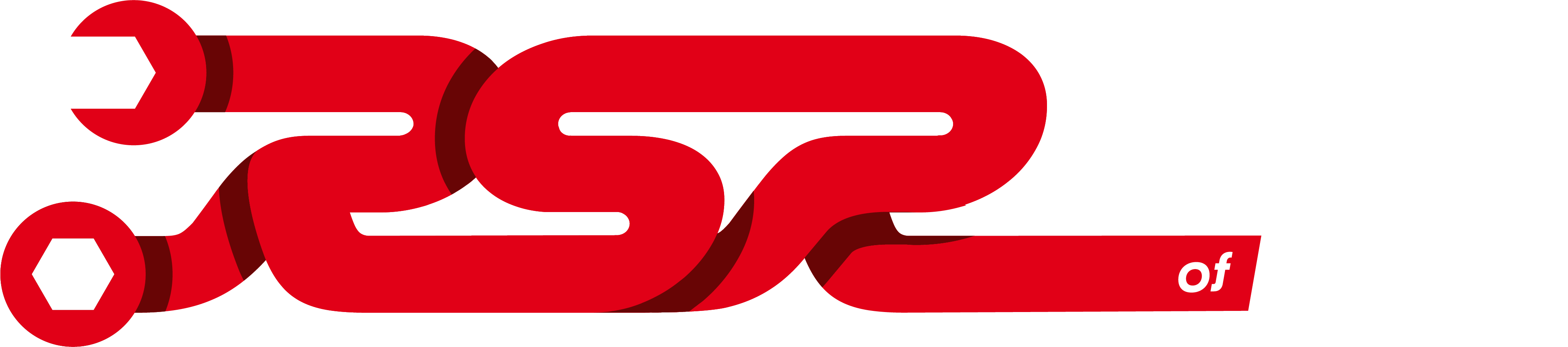 Payload Logo